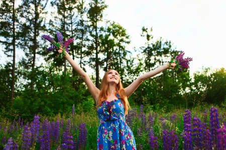 Beautiful young girl in the colours of the lupins.の写真素材
