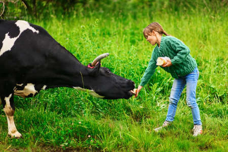 Children playing with a cow in the village.の写真素材