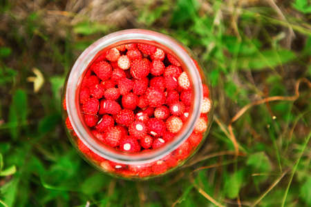 The Ripe strawberries in a glass container.の写真素材