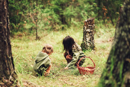 The Small children walk in the forest.の写真素材