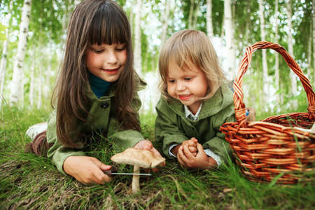 The children gather mushrooms in the forest.の写真素材