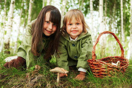 The children gather mushrooms in the forest.の写真素材