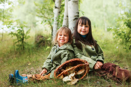 The children gather mushrooms in the forest.の写真素材