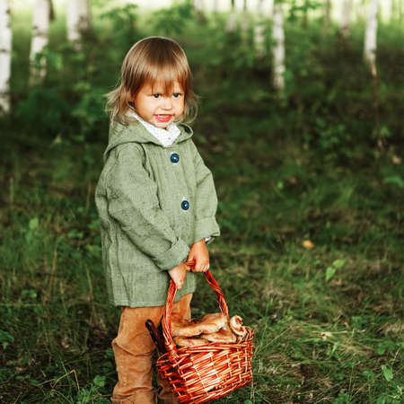 The children gather mushrooms in the forest.の写真素材