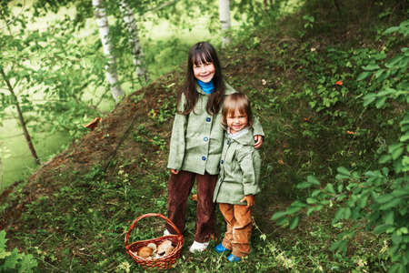 The children gather mushrooms in the forest.の写真素材