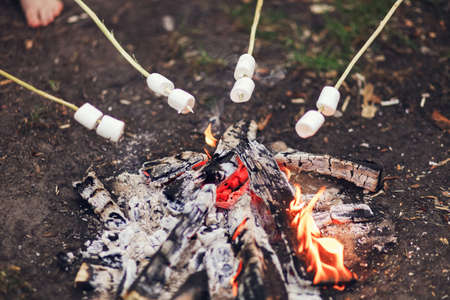 The Children walk in the campaign outdoors.の写真素材