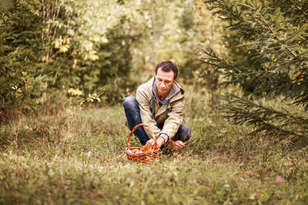 Young woman gathers mushrooms in the forest.の写真素材