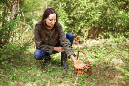 Young woman gathers mushrooms in the forest.の写真素材