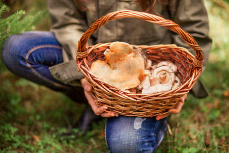 Young Woman holding mushrooms in the basket.の写真素材