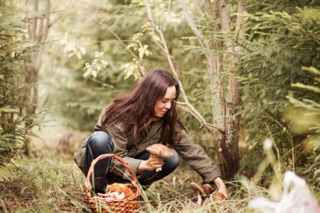 Young woman gathers mushrooms in the forest.の写真素材