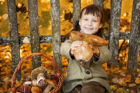 The little girl went to pick mushrooms.の写真素材