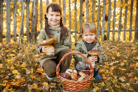 The little girls went to pick mushrooms.の写真素材