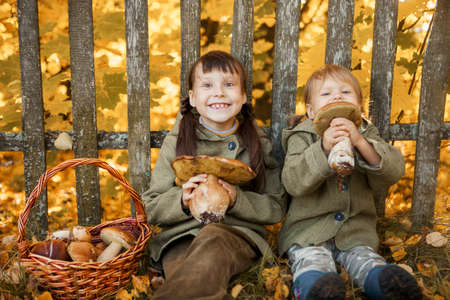 The little girls went to pick mushrooms.の写真素材