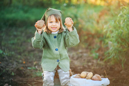 The Children on the harvest of potatoes.の写真素材