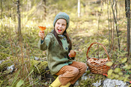 Children walking in the forest and gather mushrooms.の写真素材