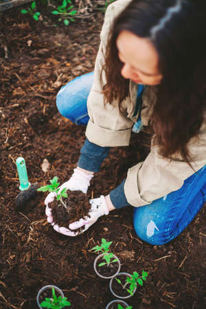 A young woman is planting a tree.の写真素材