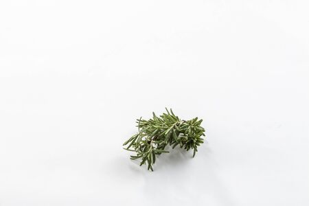 fresh rosemary branch herb isolated on white background with shadow side viewの写真素材