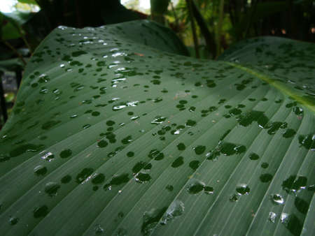 starting to rainの写真素材