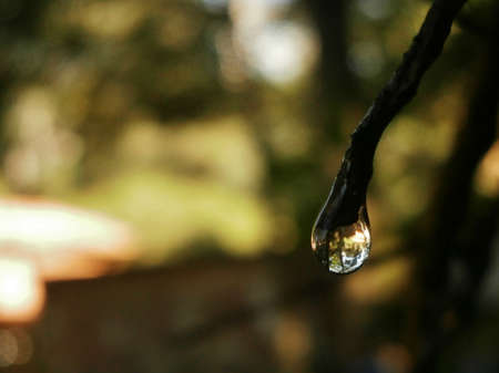 drop of waterの写真素材