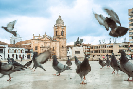 A close-up view of the equestrian statue of Sim n Bol var, a key figure in South American independence, positioned in the historic Plaza Mayor of Tunja, Boyac, Colombia. The statue, featuring Bolvar on horseback, stands on a prominent pedestal. In the background, the impressive stone bell tower and dome of the Catedral Baslica Metropolitana de Santiago de Tunja rise majestically against a vibrant blue sky with soft white clouds, showcasing the beautiful colonial architecture of the city during the day.の写真素材