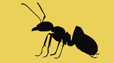 Isolated Vector Illustration of an Ant Silhouetteのイラスト素材