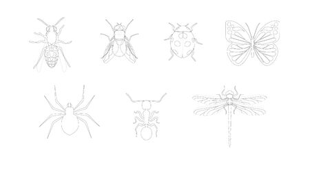 Vector Isoltaed Insects Back and White Iconsのイラスト素材