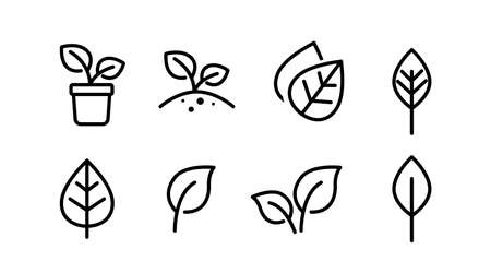 Plants Set. Leaves or plants vector black and white isolated illustrationsのイラスト素材