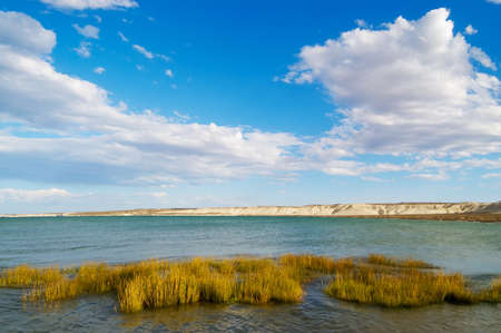 Coastal Patagoniaの写真素材