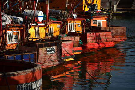 Colored boats in the port of Mar del Plataの写真素材