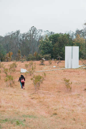 Two young women walking in the park on a sunny day.の写真素材