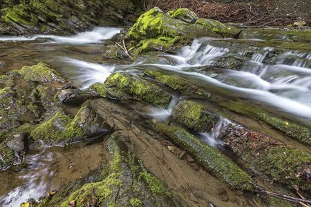 close view of water in small river with rocks in forestの写真素材