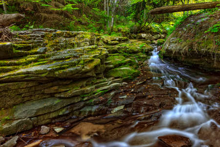 beautiful small stream in green forest, Bulgaria