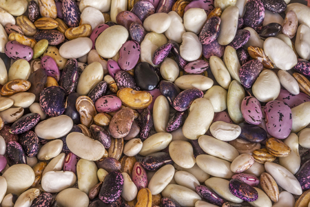 Beautiful mixed colorful beans as background. Raw colorful bean texture. Food photoの写真素材