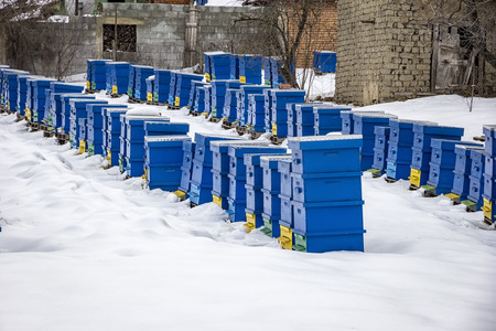 Winter country scene with beehives covered with snow .