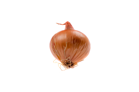 A fresh onion. Isolated on white background.の写真素材