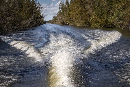 Trail of foam on the water from a motor boat in river in Cuba.の写真素材