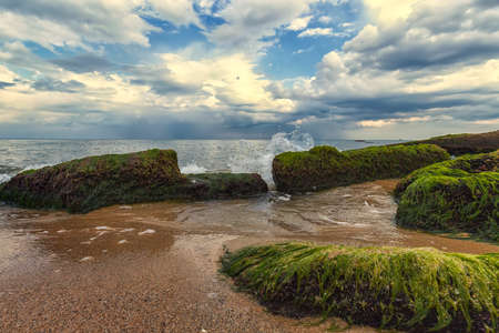 Seascape with rocks with moss on the beach