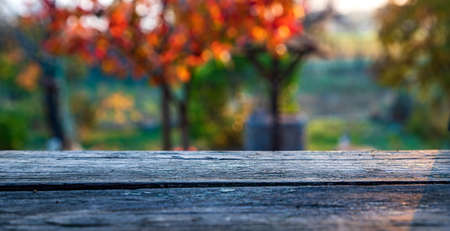 Wooden table, tabletop, blurred autumn background, Empty wooden shelf, counter, desk. Perspective wood tabletopの写真素材