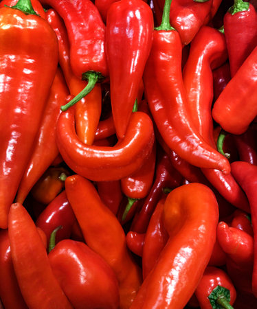 red peppers picture.  Many exotic flavors in the natural products market.の写真素材