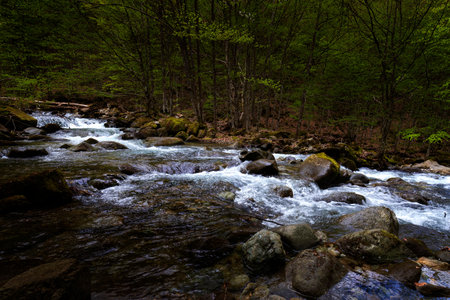 Beautiful autumn landscape of flowing cascade water in a mountain river