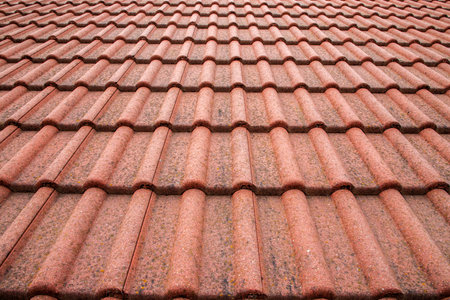 New roof with ceramic tiles close-up. Roofing tiles