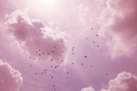 A flock of birds flying south against a cloudy skyの写真素材