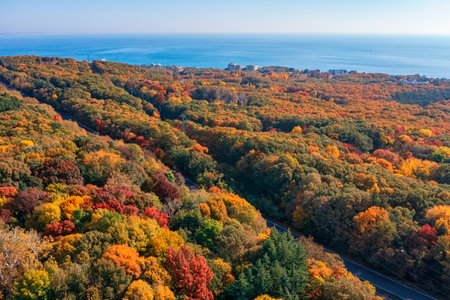 Aerial view from a drone of an autumn forest near the sea.の写真素材