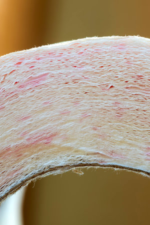 Close-up of a part of a roll of toilet paper. Vertical viewの写真素材