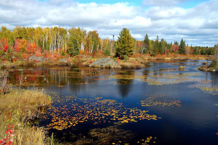 Fall pond scene taken in Northern Ontario in October
