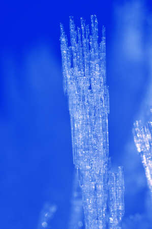 Tiny ice crystals formed on a cold winter day