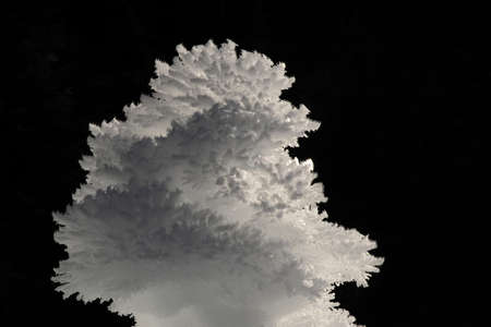 Collection of ice crystals forming an amazing structure