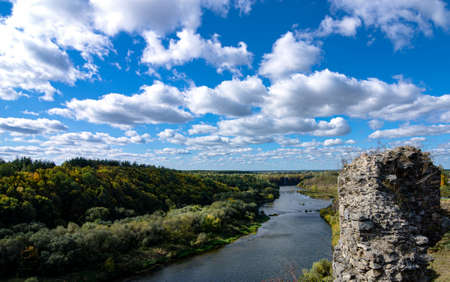 Beautiful view of the river and forest on a warm summer day.