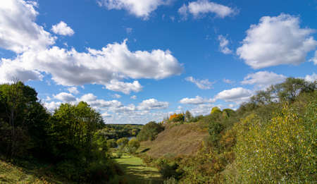 Beautiful view of the river and forest on a warm summer day.の写真素材
