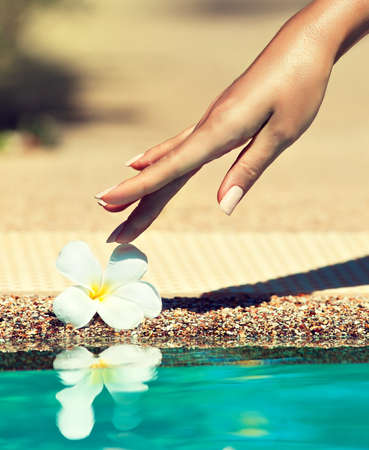 Graceful woman hand touching flower. Hand care.の写真素材